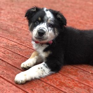 Meet your Posher, Gina